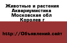 Животные и растения Аквариумистика. Московская обл.,Королев г.